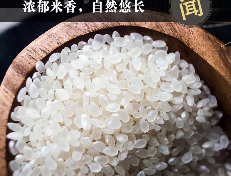 dnf女弹药自动